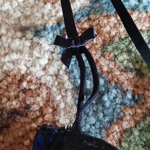 Rene Rofe Blue Lace Bra - Picture 14 of 16